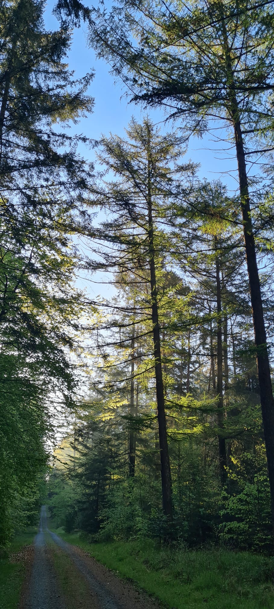 Weg mit Himmel Weg mit Himmel